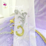 Handmade Lilac Fairy Tutu with Ombre Color Sleeping Beauty Classic Professional Ballet Tutu Nutcracker Costume