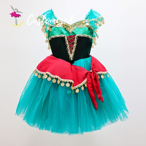 Handmade Ballet Tutu Dress Romantic Dress for Esmeralda