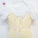 Ombre Color Customized Tutu Classic Romantic Dress for Giselle