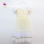 Ombre Color Customized Tutu Classic Romantic Dress for Giselle